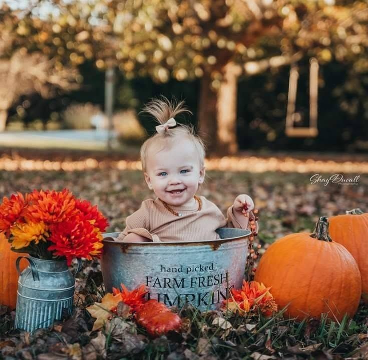 Baby fall portrait